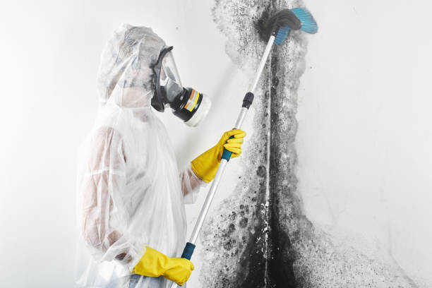 Best Residential Mold Inspection & Testing  in East Riverdale, MD