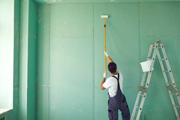 Professional Mold Removal in East Riverdale, MD