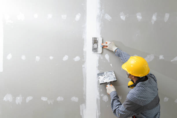 Best Emergency Mold Remediation  in East Riverdale, MD