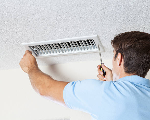 Best Mold Remediation for Vacation Homes  in East Riverdale, MD